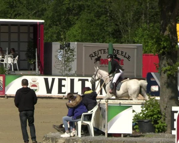 Reitturnier Hellefeld 2023