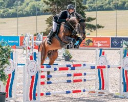Deckhengst Kannthago Dk (Slowakisches Warmblut, 2017, von Kannan)