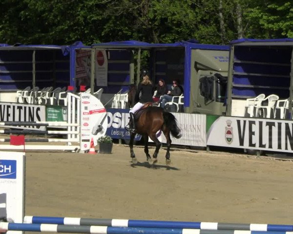Reitturnier Hellefeld 2023