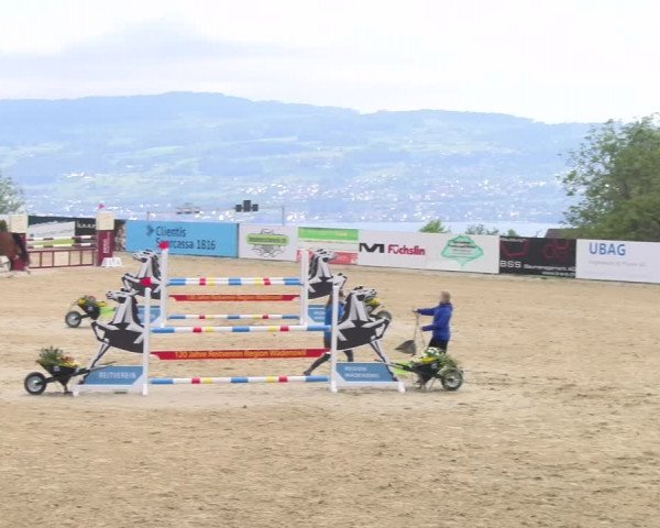 Reitturnier Wädenswil 2023