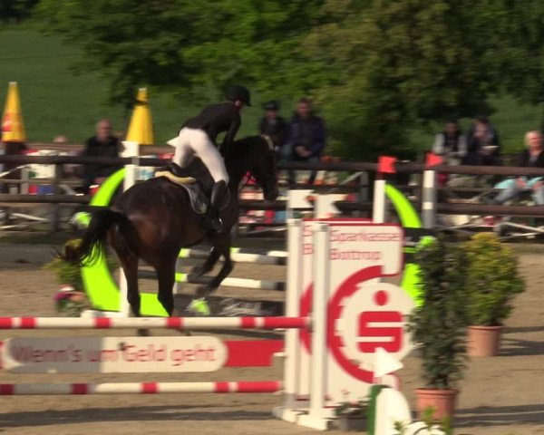 Reitturnier Kirchhellen 2023