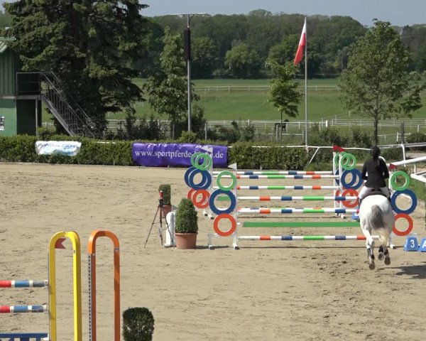 Reitturnier Bornheim Widdig 2023