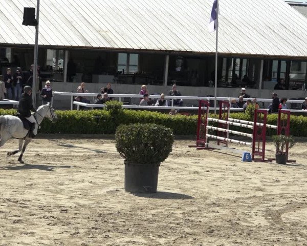 Reitturnier Bornheim Widdig 2023