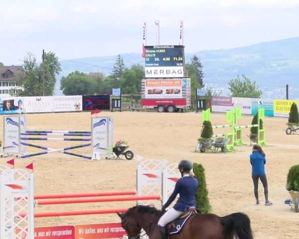 Reitturnier Wädenswil 2023