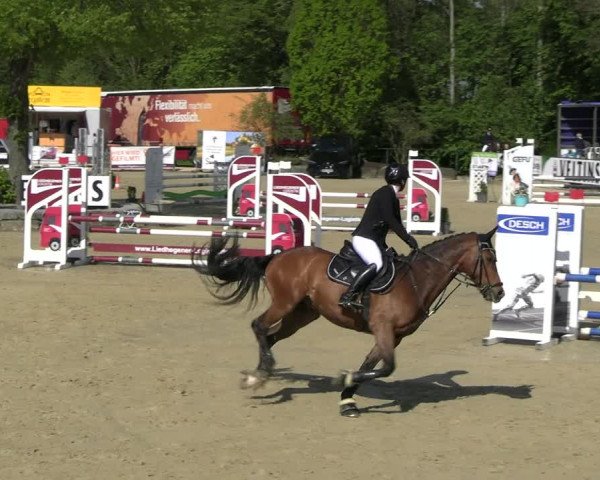 Reitturnier Hellefeld 2023