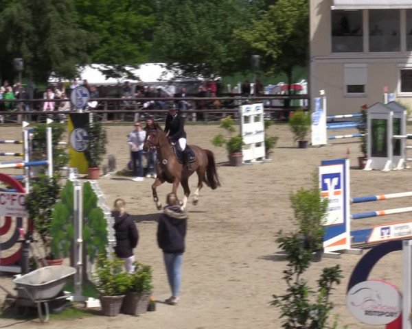Reitturnier Kirchhellen 2023