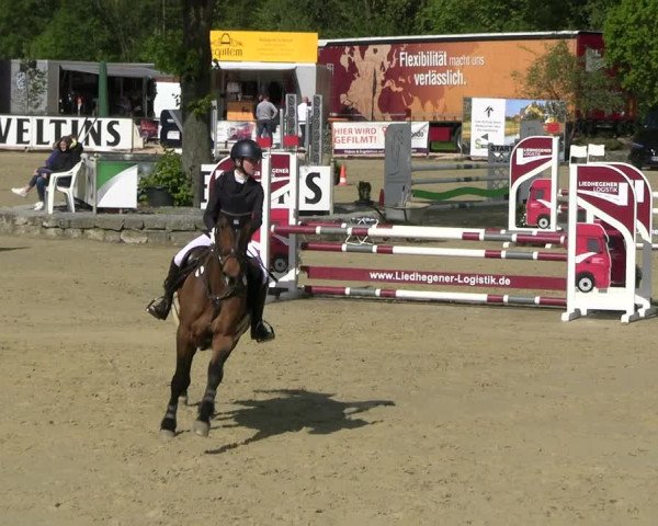 Reitturnier Hellefeld 2023