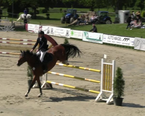 Reitturnier Hamm- Rhynern 2023