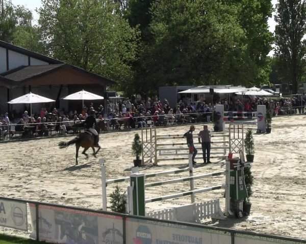 Reitturnier Hamm- Rhynern 2023