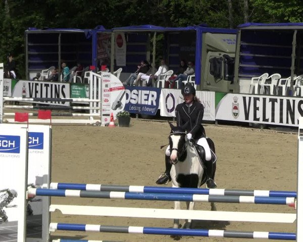 Reitturnier Hellefeld 2023