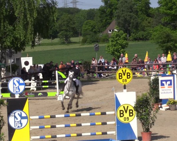 Reitturnier Kirchhellen 2023