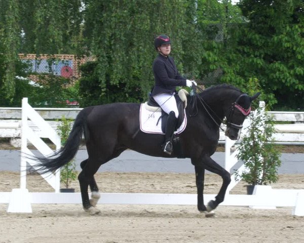 Reitturnier Billigheim 2023