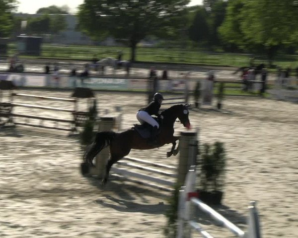Reitturnier Hamm- Rhynern 2023