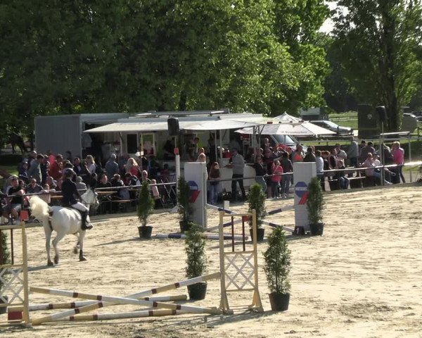 Reitturnier Hamm- Rhynern 2023