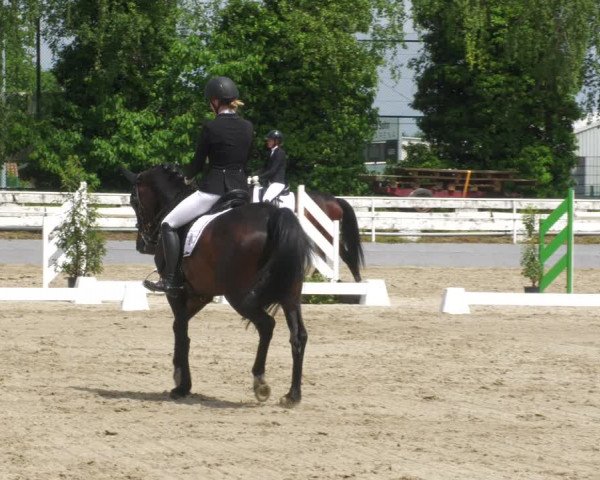 Reitturnier Billigheim 2023