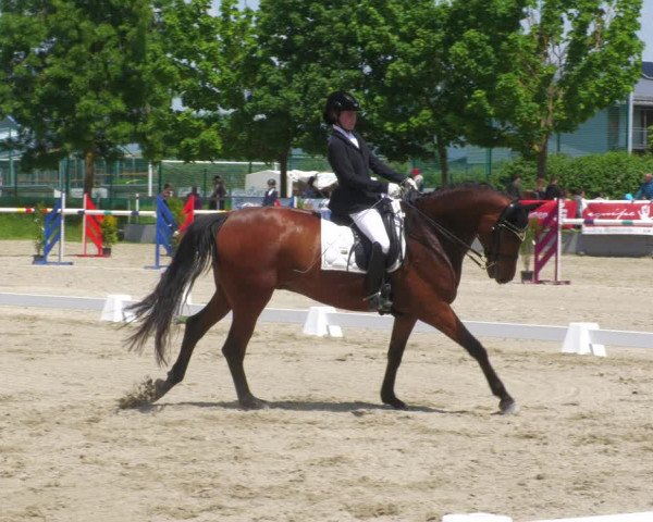 Reitturnier Billigheim 2023