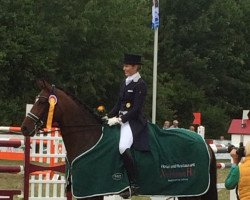 Dressurpferd Fine Spirit 3 (Hannoveraner, 2008, von Fidertanz)