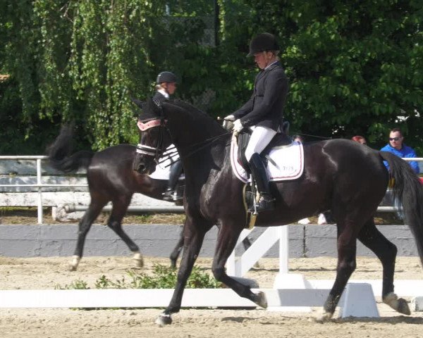 Reitturnier Billigheim 2023