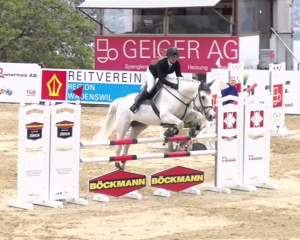 Reitturnier Wädenswil 2023