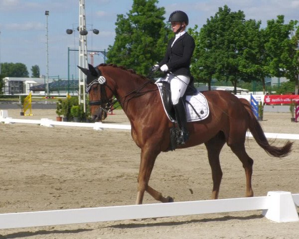 Reitturnier Billigheim 2023