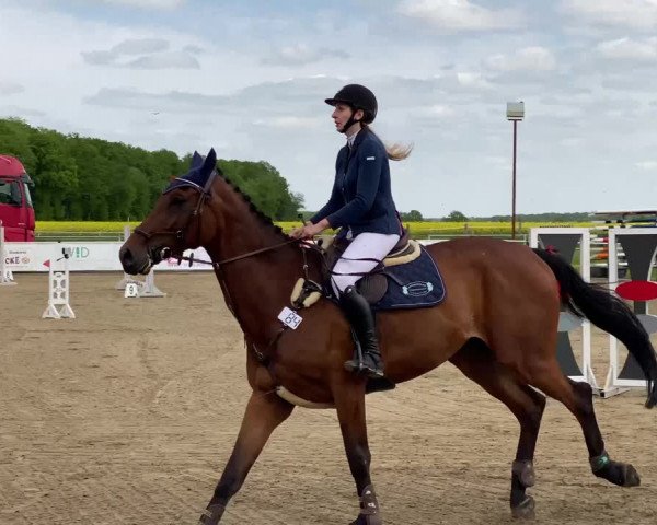 Reitturnier Kitzscher / Reitanlage Heuter 2023