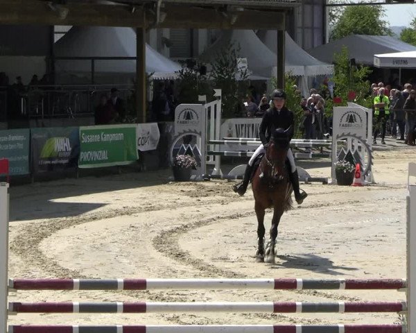 Reitturnier Hellefeld 2023
