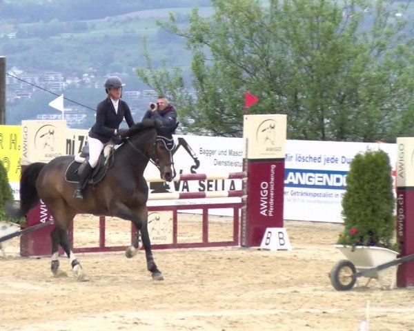 Reitturnier Wädenswil 2023