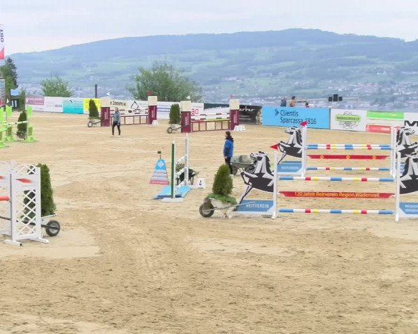 Reitturnier Wädenswil 2023