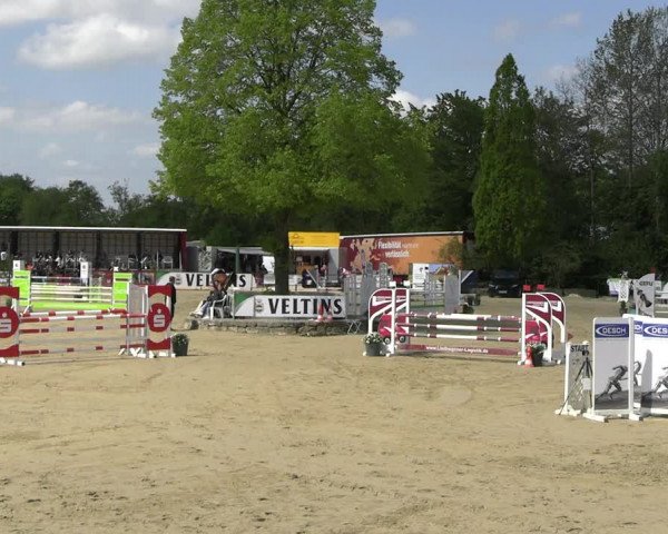 Reitturnier Hellefeld 2023