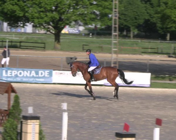 Reitturnier Hamm- Rhynern 2023