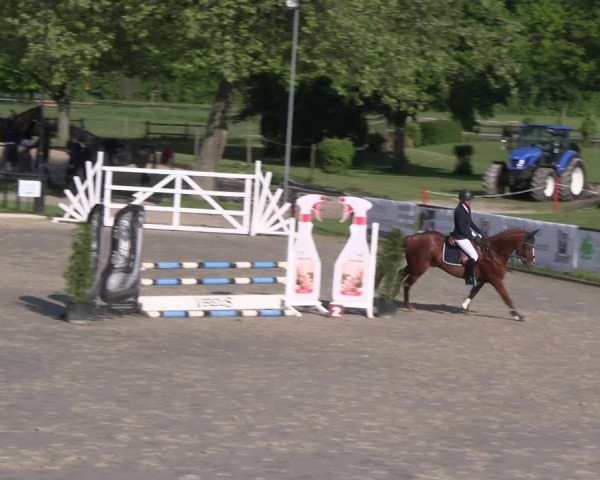 Reitturnier Hamm- Rhynern 2023