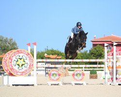 Springpferd Chutter du Rouet PS (Oldenburger Springpferd, 2016, von Chacoon Blue)