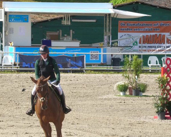 Reitturnier Billigheim 2023