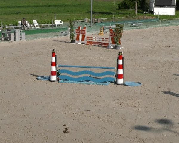 Reitturnier Harsum-Hüddessum 2023