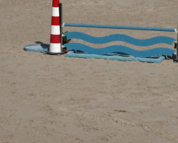 Reitturnier Harsum-Hüddessum 2023