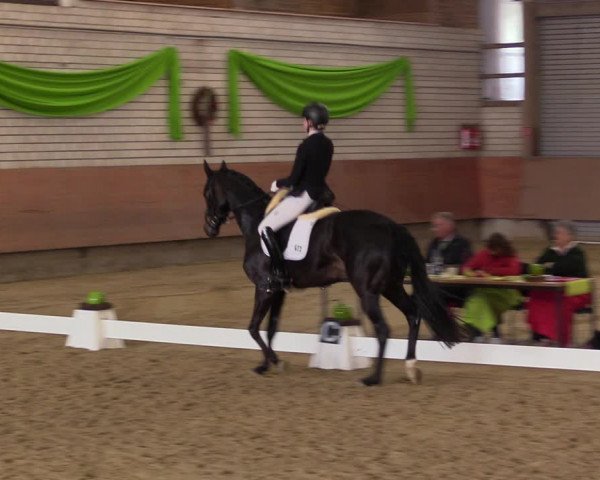Reitturnier Hellefeld 2023