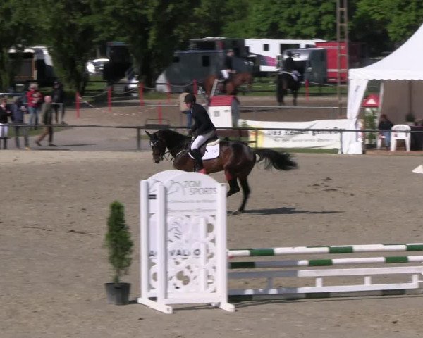 Reitturnier Hamm- Rhynern 2023
