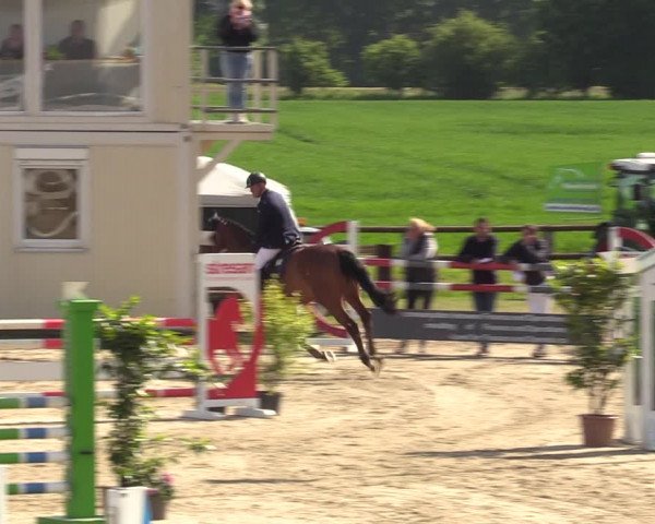 Reitturnier Kirchhellen 2023