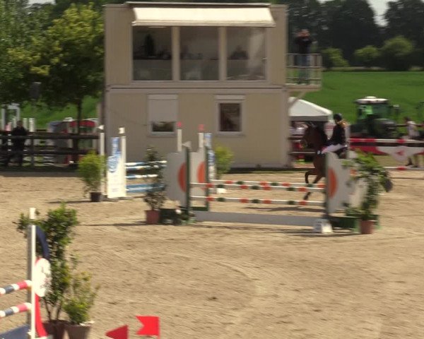 Reitturnier Kirchhellen 2023