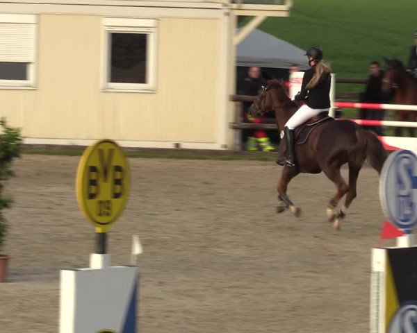 Reitturnier Kirchhellen 2023