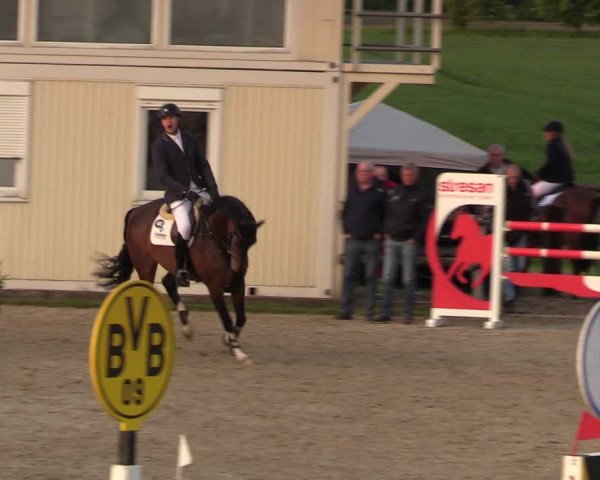 Reitturnier Kirchhellen 2023