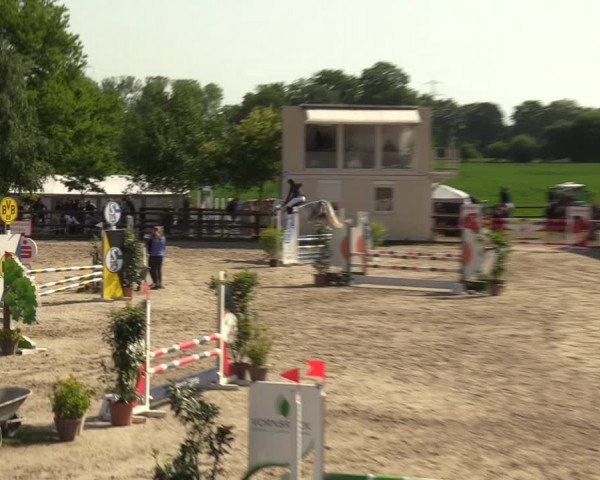 Reitturnier Kirchhellen 2023