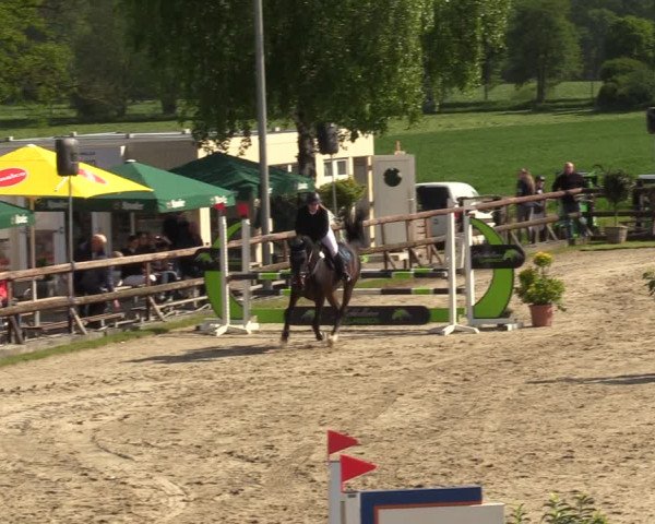 Reitturnier Kirchhellen 2023