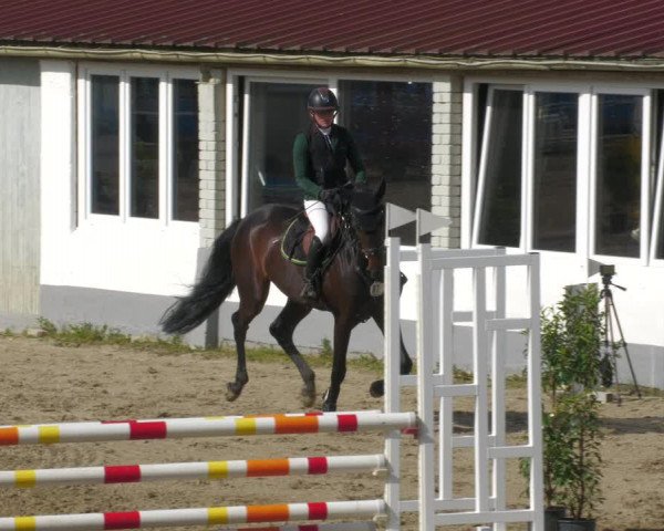 Reitturnier Billigheim 2023