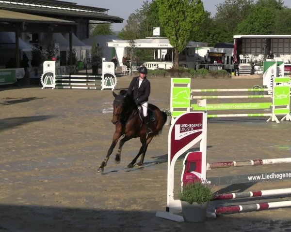 Reitturnier Hellefeld 2023