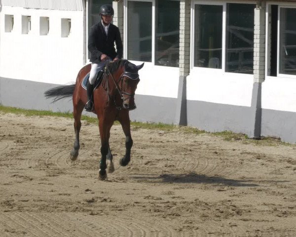 Reitturnier Billigheim 2023