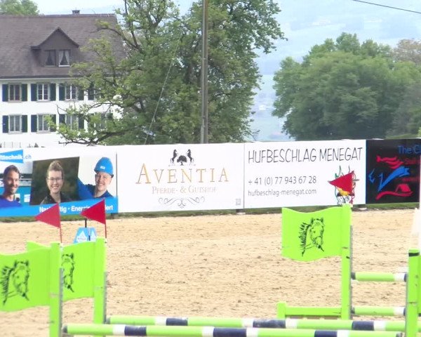 Reitturnier Wädenswil 2023