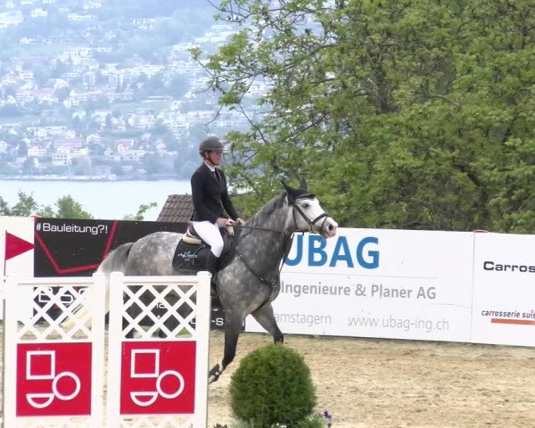 Reitturnier Wädenswil 2023