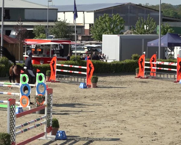 Reitturnier Bornheim Widdig 2023
