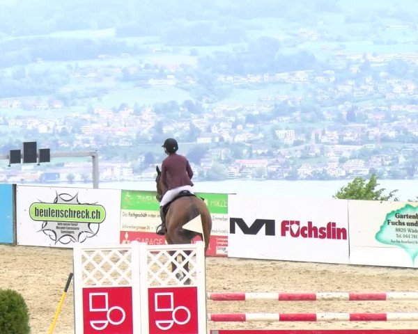 Reitturnier Wädenswil 2023